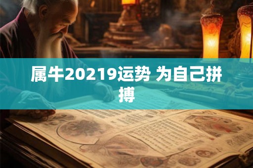 属牛20219运势 为自己拼搏 属牛20219运势 为自己拼搏