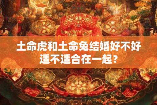 土命虎和土命兔结婚好不好适不适合在一起？