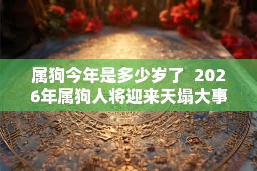 属狗今年是多少岁了 2026年属狗人将迎来天塌大事 属狗今年是多少岁了 2026年属狗人将迎来天塌大事