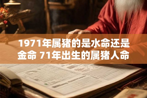 1971年属猪的是水命还是金命 71年出生的属猪人命运如何