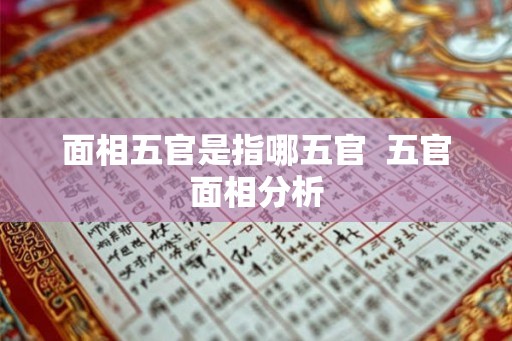 面相五官是指哪五官  五官面相分析
