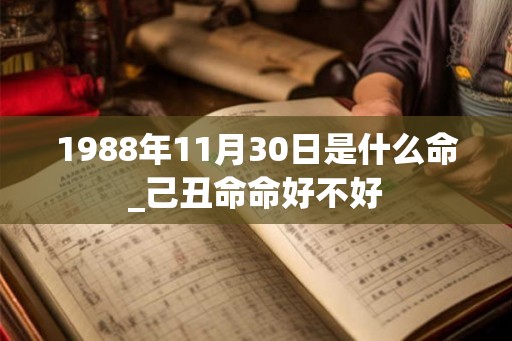 1988年11月30日是什么命_己丑命命好不好