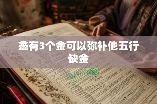 鑫有3个金可以弥补他五行缺金