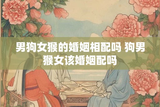 男狗女猴的婚姻相配吗 狗男猴女该婚姻配吗 男狗女猴的婚姻相配吗 狗男猴女该婚姻配吗