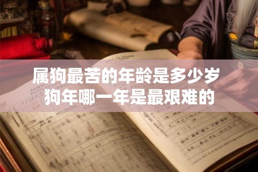 属狗最苦的年龄是多少岁 狗年哪一年是最艰难的
