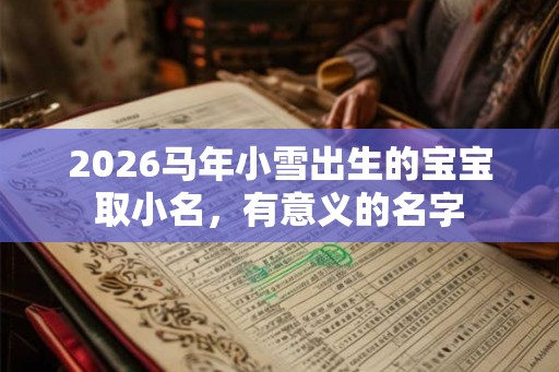 2026马年小雪出生的宝宝取小名，有意义的名字