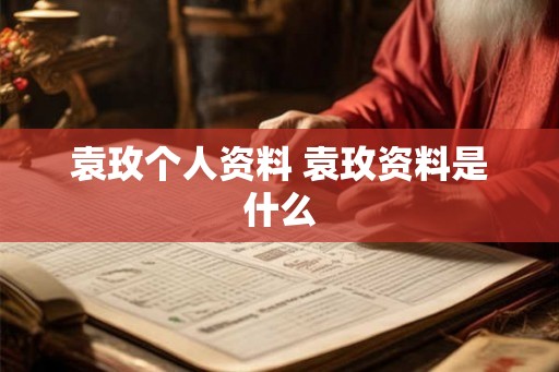 袁玫个人资料 袁玫资料是什么