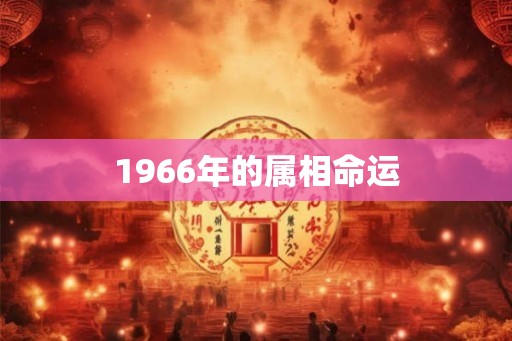 1966年的属相命运