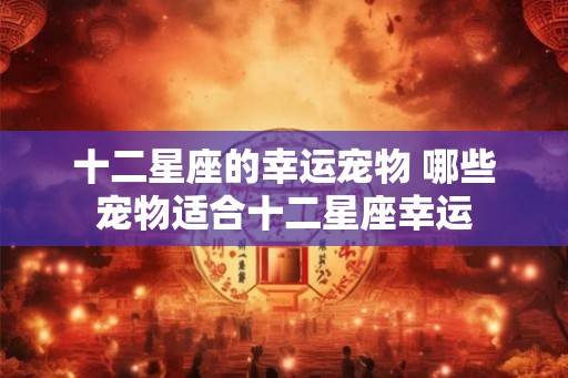 十二星座的幸运宠物 哪些宠物适合十二星座幸运
