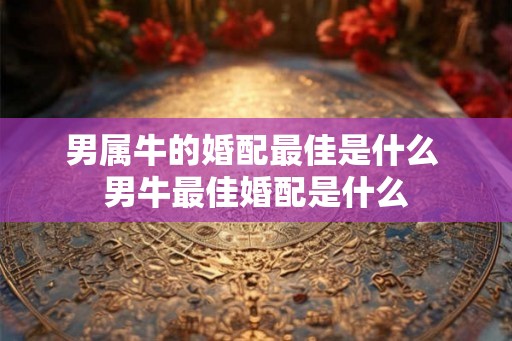 男属牛的婚配最佳是什么 男牛最佳婚配是什么