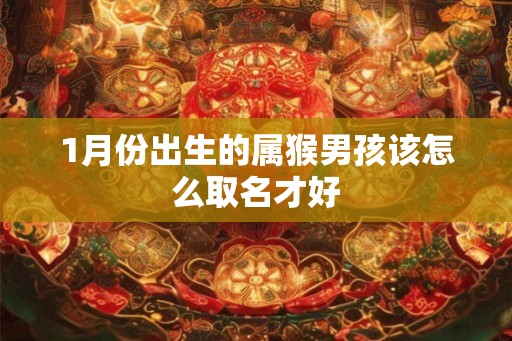 1月份出生的属猴男孩该怎么取名才好