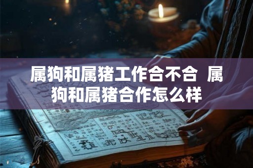 属狗和属猪工作合不合  属狗和属猪合作怎么样