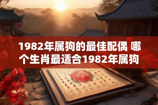 1982年属狗的最佳配偶 哪个生肖最适合1982年属狗的配偶
