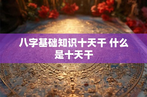 八字基础知识十天干 什么是十天干