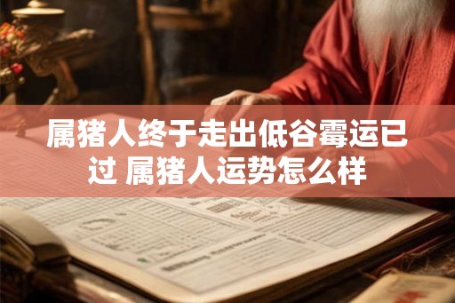 属猪人终于走出低谷霉运已过 属猪人运势怎么样