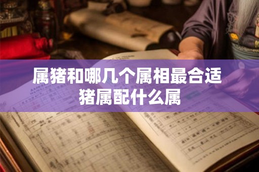 属猪和哪几个属相最合适 猪属配什么属