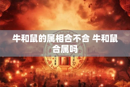 牛和鼠的属相合不合 牛和鼠合属吗