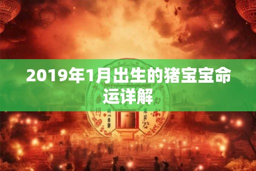 2019年1月出生的猪宝宝命运详解