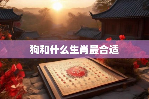 狗和什么生肖最合适