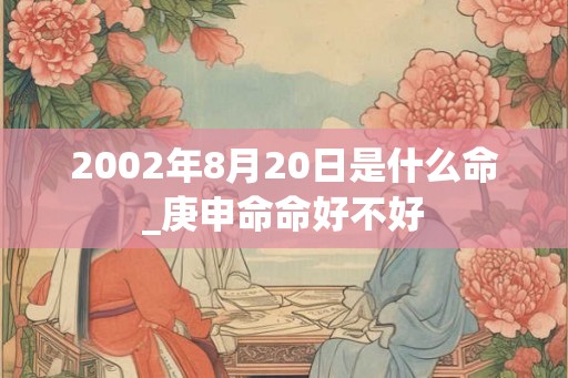2002年8月20日是什么命_庚申命命好不好