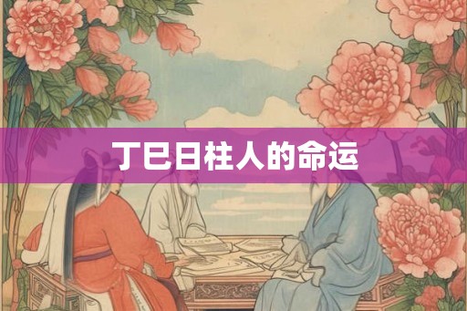 丁巳日柱人的命运