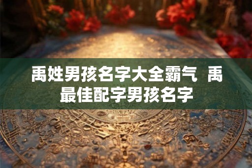 禹姓男孩名字大全霸气 禹最佳配字男孩名字 禹姓男孩名字大全霸气 禹最佳配字男孩名字