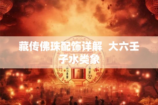 藏传佛珠配饰详解 大六壬子水类象 藏传佛珠配饰详解 大六壬子水类象