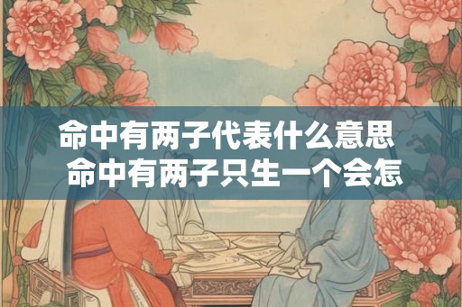 命中有两子代表什么意思  命中有两子只生一个会怎样