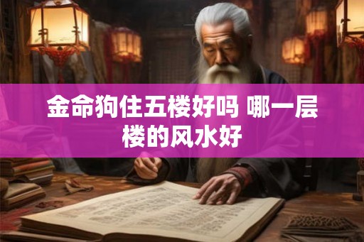 金命狗住五楼好吗 哪一层楼的风水好