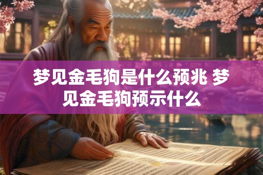 梦见金毛狗是什么预兆 梦见金毛狗预示什么