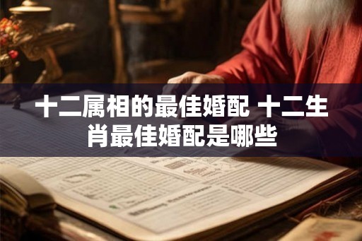 十二属相的最佳婚配 十二生肖最佳婚配是哪些