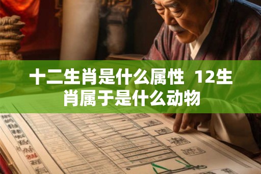 十二生肖是什么属性  12生肖属于是什么动物