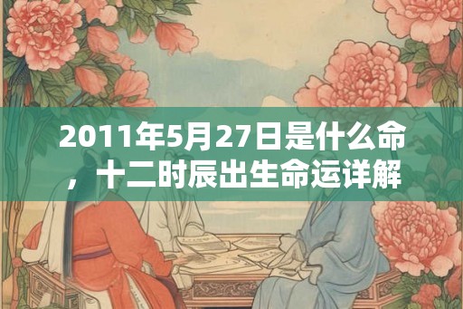 2011年5月27日是什么命，十二时辰出生命运详解