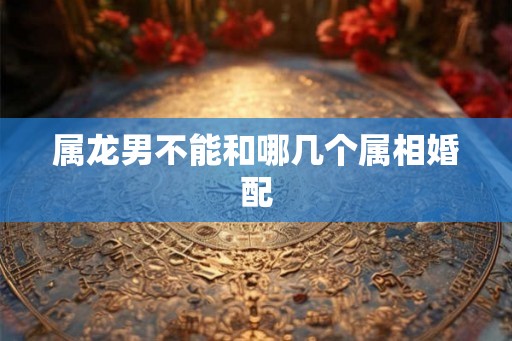 属龙男不能和哪几个属相婚配