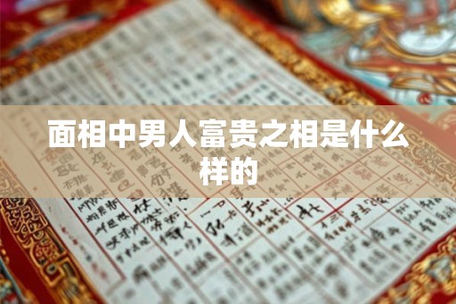 面相中男人富贵之相是什么样的