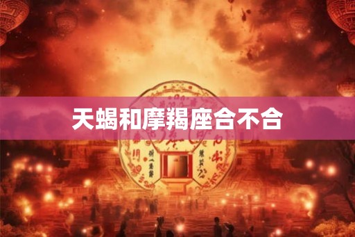 天蝎和摩羯座合不合