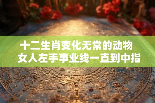 十二生肖变化无常的动物  女人左手事业线一直到中指