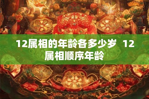 12属相的年龄各多少岁  12属相顺序年龄