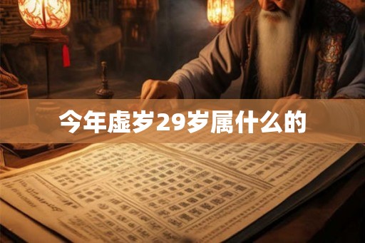 今年虚岁29岁属什么的