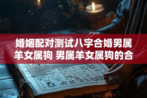 婚姻配对测试八字合婚男属羊女属狗 男属羊女属狗的合不合