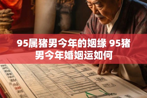 95属猪男今年的姻缘 95猪男今年婚姻运如何