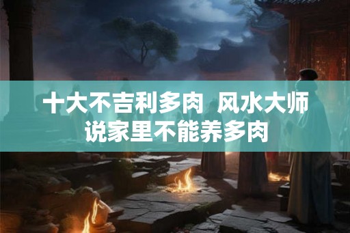十大不吉利多肉  风水大师说家里不能养多肉