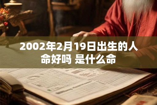 2002年2月19日出生的人命好吗 是什么命 2002年2月19日出生的人命好吗 是什么命