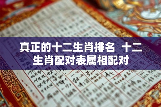 真正的十二生肖排名 十二生肖配对表属相配对 真正的十二生肖排名 十二生肖配对表属相配对