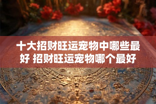十大招财旺运宠物中哪些最好 招财旺运宠物哪个最好 十大招财旺运宠物中哪些最好 招财旺运宠物哪个最好