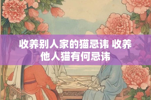 收养别人家的猫忌讳 收养他人猫有何忌讳
