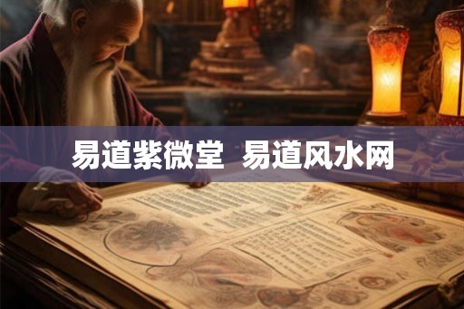 易道紫微堂  易道风水网