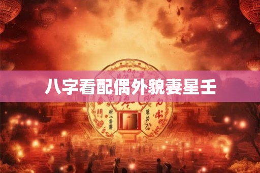 八字看配偶外貌妻星壬