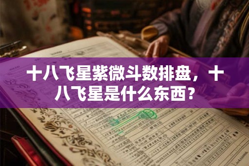 十八飞星紫微斗数排盘，十八飞星是什么东西？