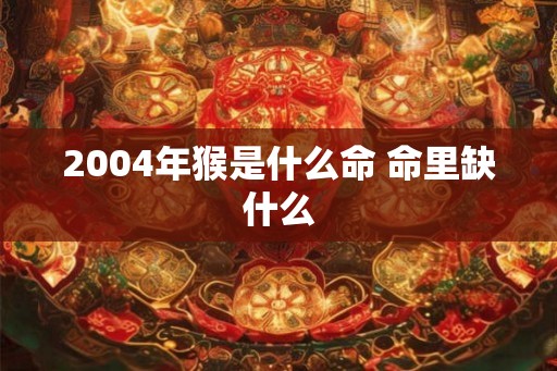 2004年猴是什么命 命里缺什么